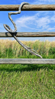 Foothills I: Driftwood